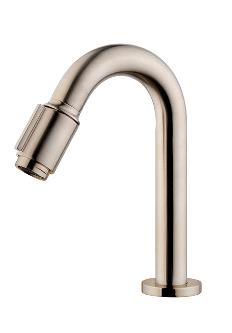 Caral Victoria fonteinkraan 1/2'' geborsteld staal PVD - WDtegels