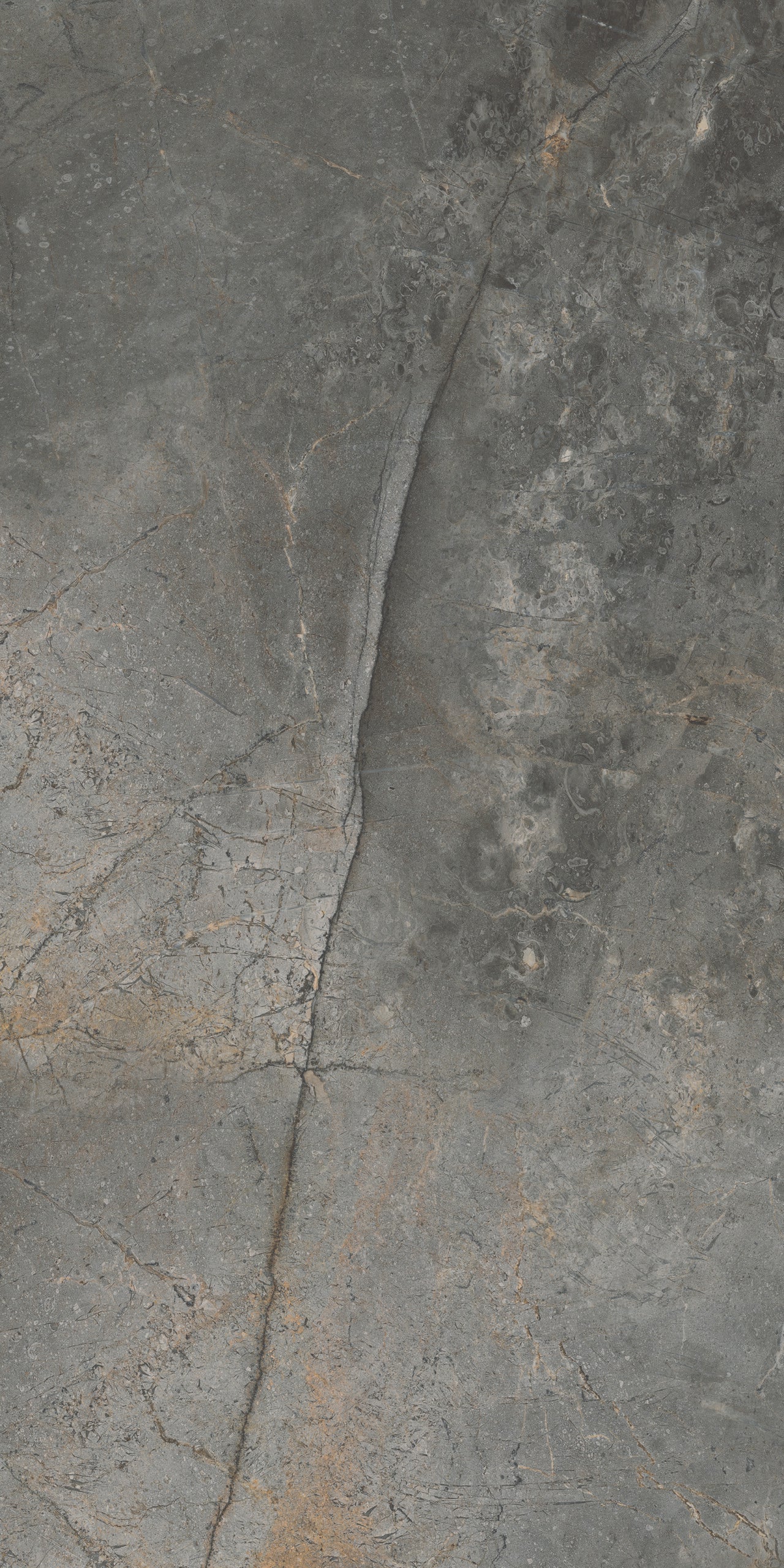 Vloertegel Masterstone Graphite 60x120 rect