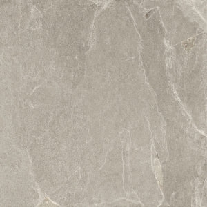Vloer- en wandtegel Darcia Taupe 80x80 rett