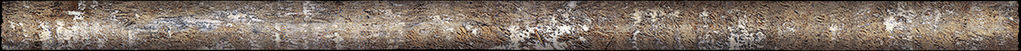 Wandtegel Quarter Round Colonial Nature mat 1,5x30 - WDtegels