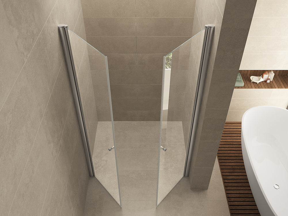 Lagos pendeldeur in nis 1200 x 2000 x 6 mm nano helder glas/chroom - WDtegels