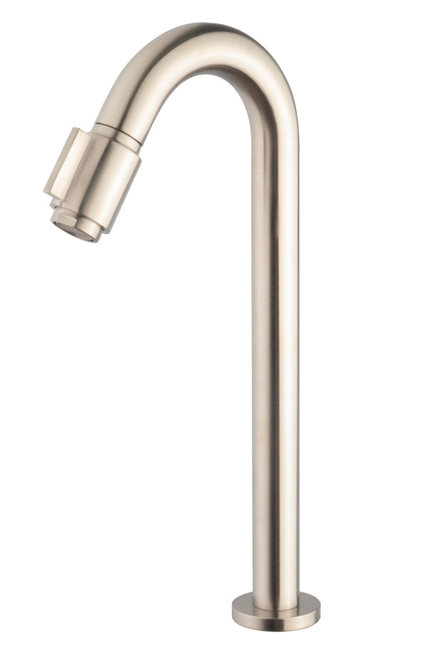Caral Victoria fonteinkraan XL 1/2'' | Geborsteld staal PVD