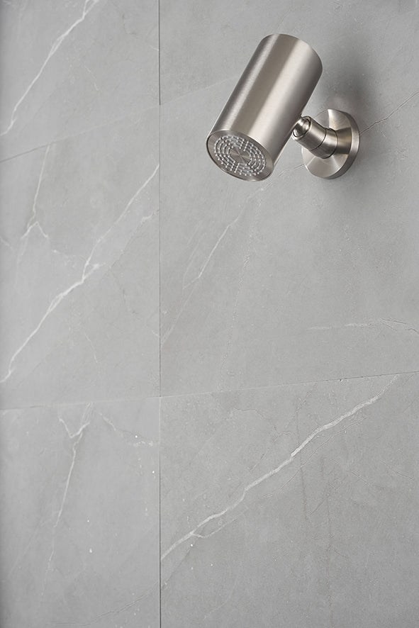 UniMatch Beam hoofddouche rond 1 stand met muurbevestiging geborsteld staal PVD