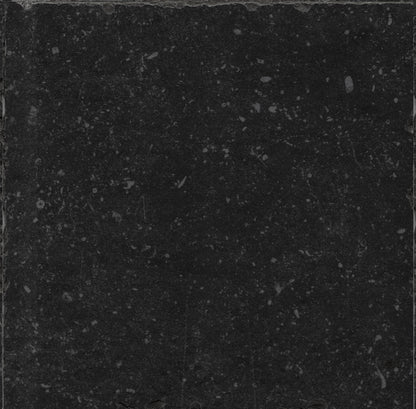 Vloertegel Belgium Stone Black Anticato 60x60 rect - WDtegels