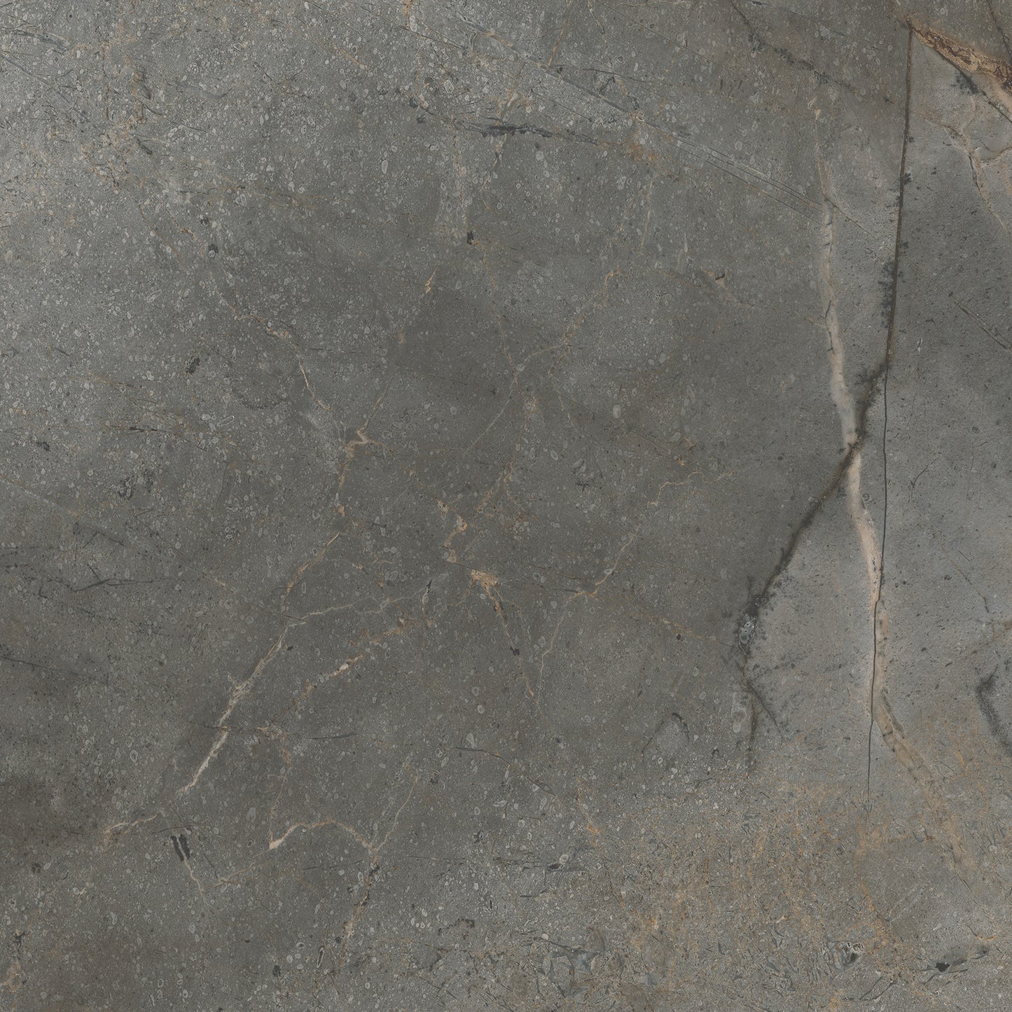 Vloertegel Masterstone graphite 60x60 rect