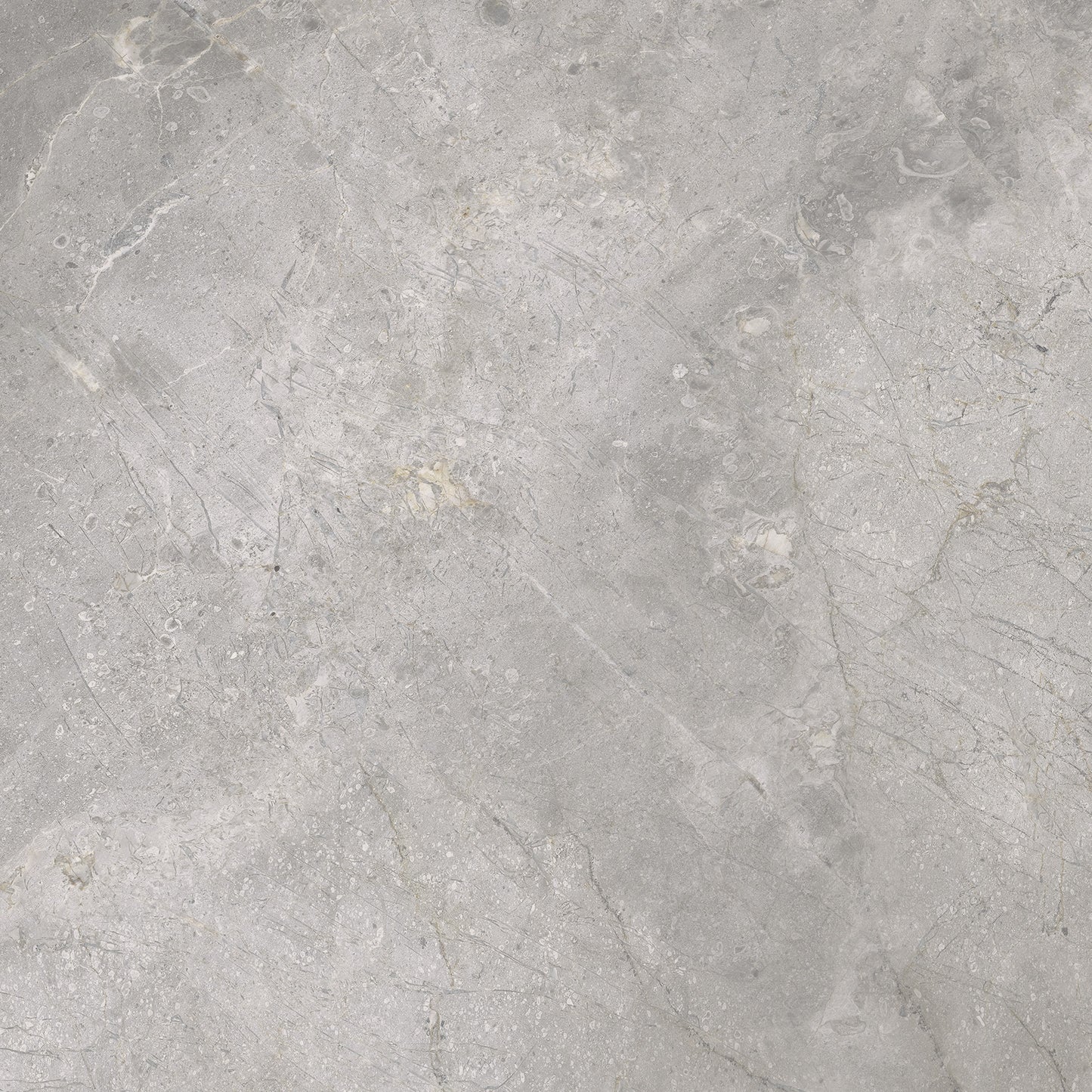 Vloertegel Masterstone silver 60x60 rect