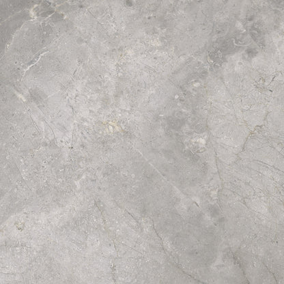 Vloertegel Masterstone silver 60x60 rect