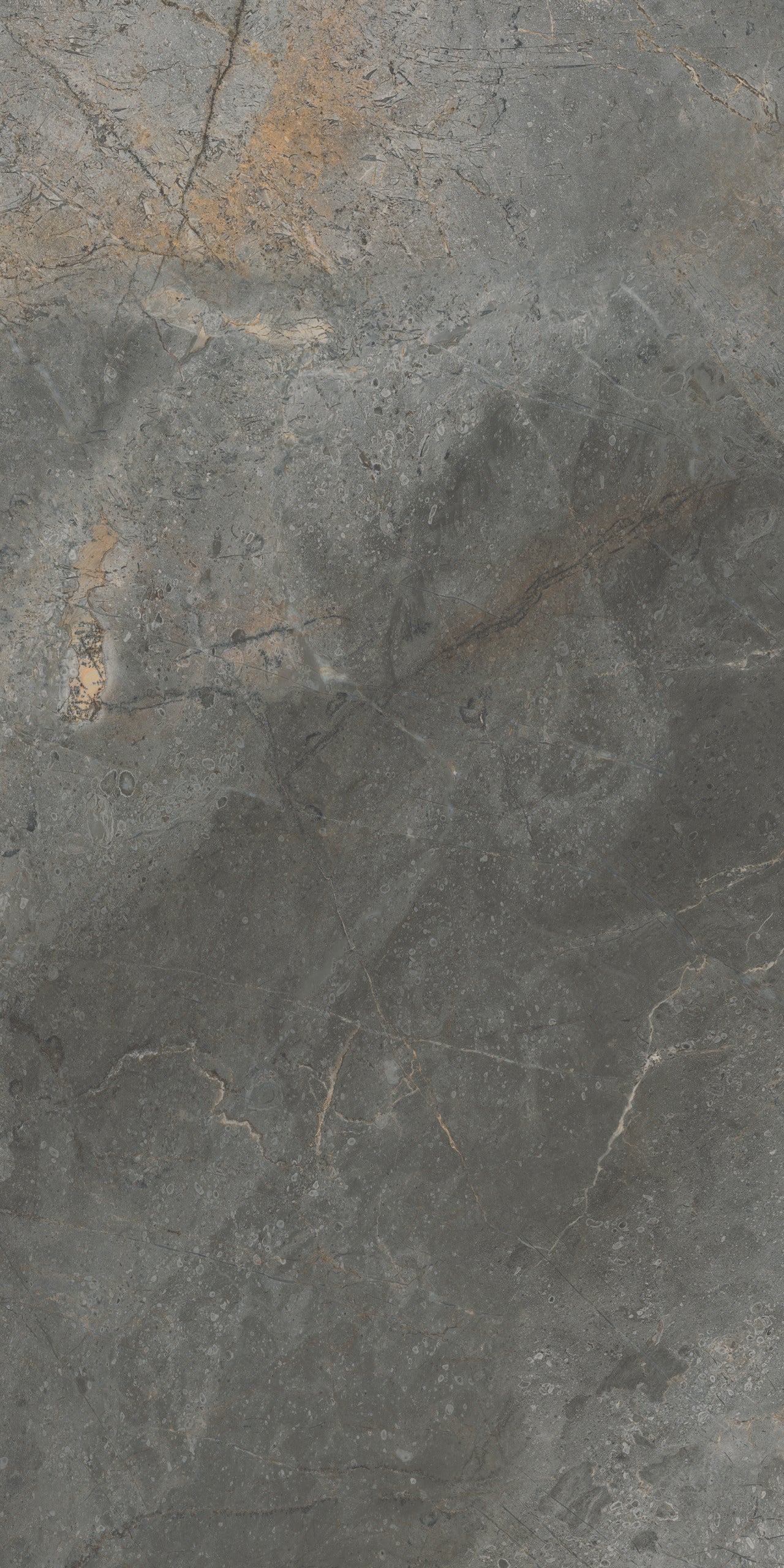 Vloertegel Masterstone Graphite 60x120 rect