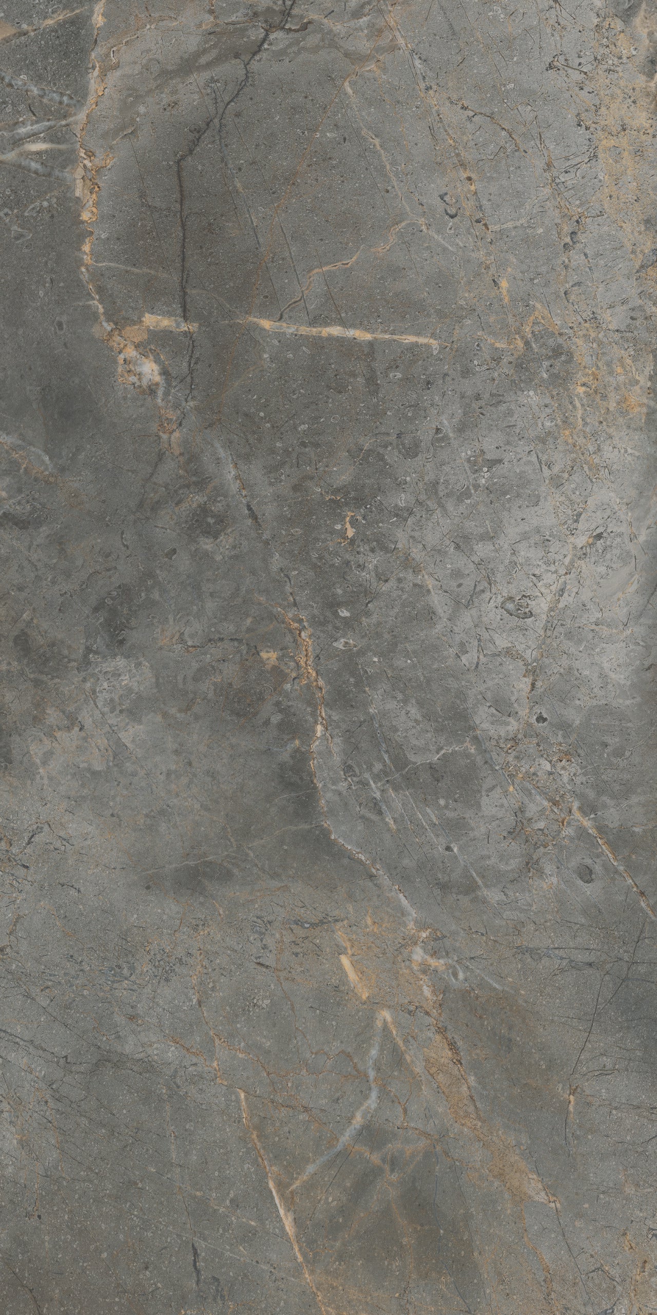 Vloertegel Masterstone Graphite 60x120 rect