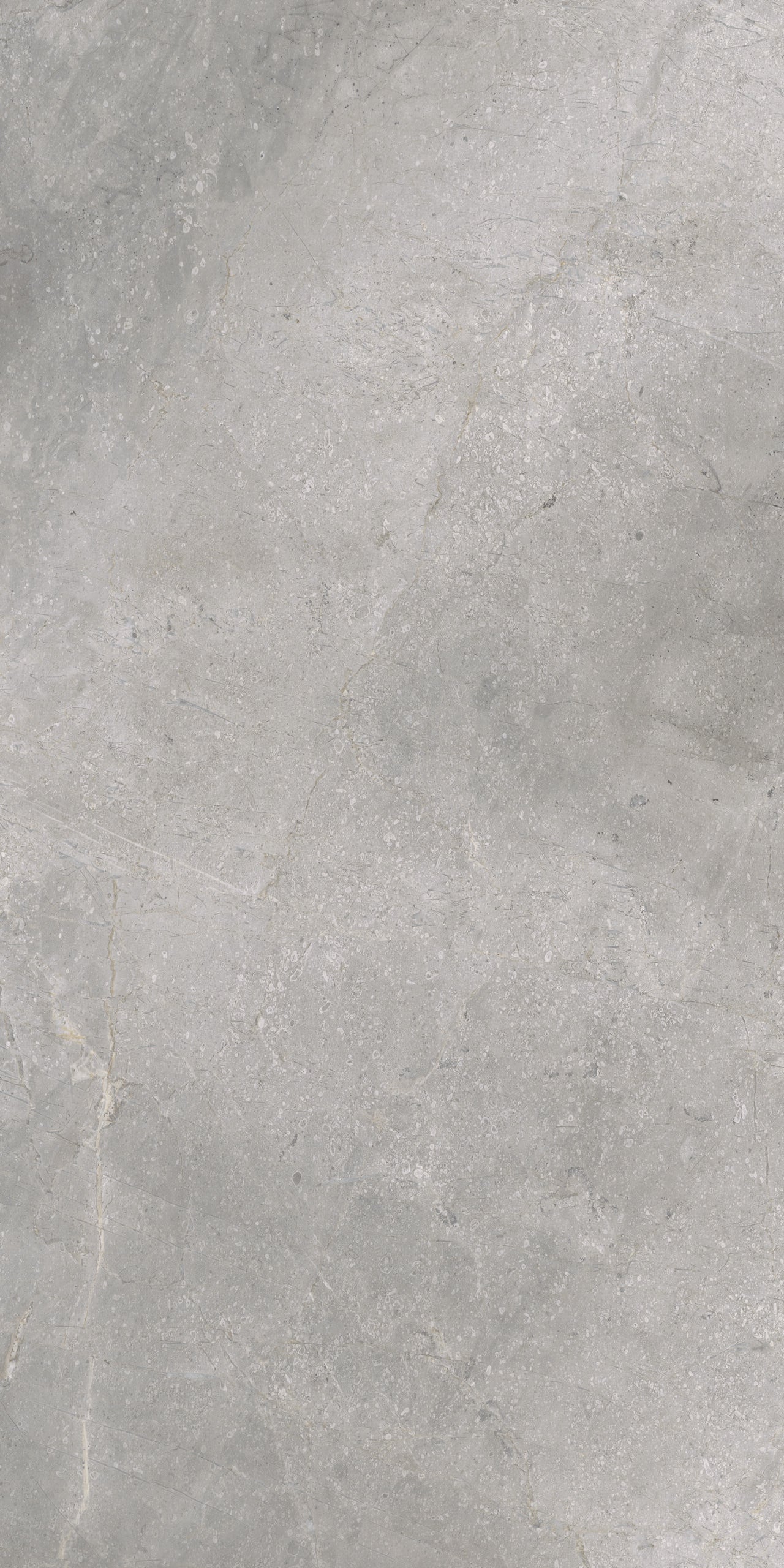 Masterstone Silver 60x120 rect - WDtegels
