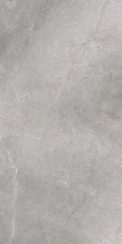 Masterstone Silver 60x120 rect - WDtegels