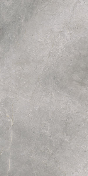 Masterstone Silver 60x120 rect