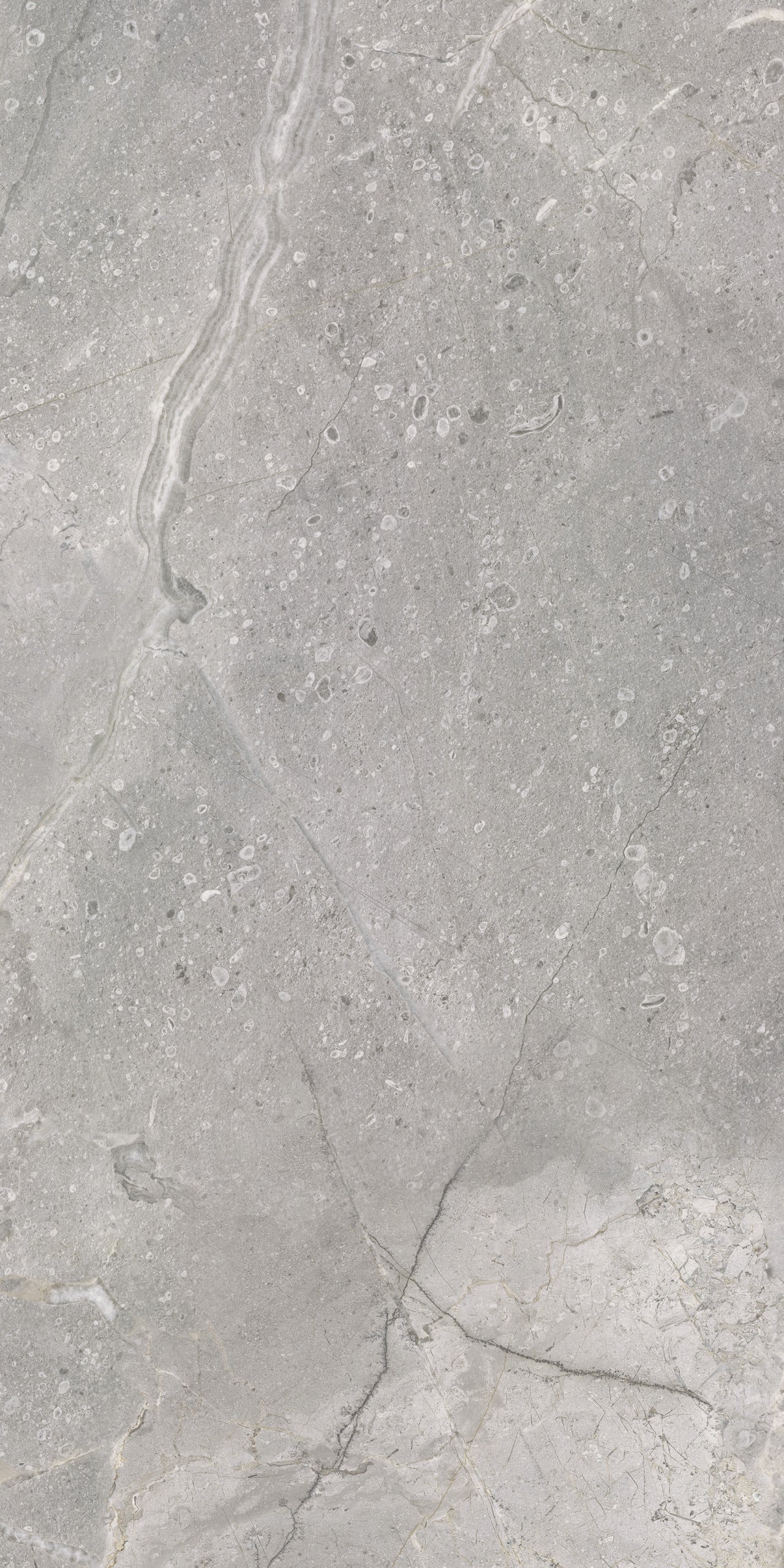 Masterstone Silver 60x120 rect - WDtegels