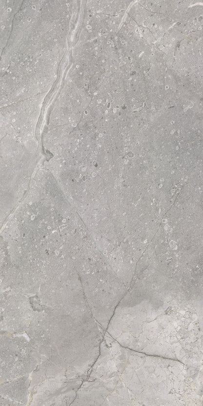 Masterstone Silver 60x120 rect - WDtegels