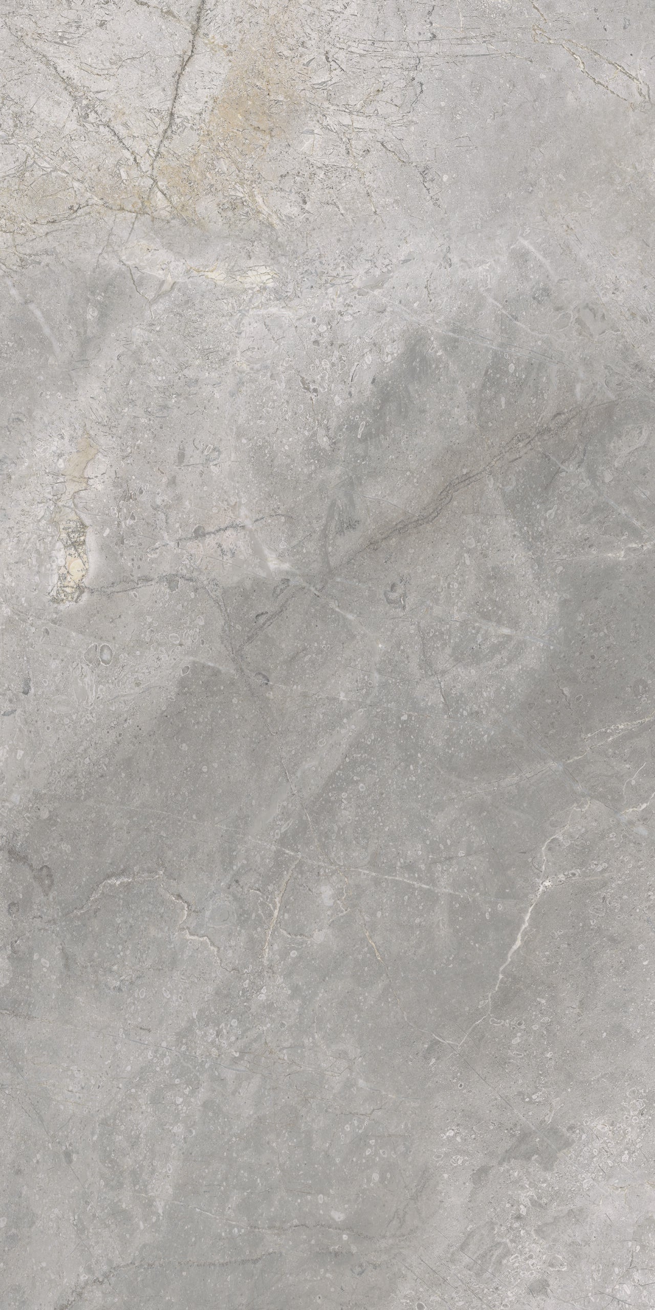 Masterstone Silver 60x120 rect - WDtegels