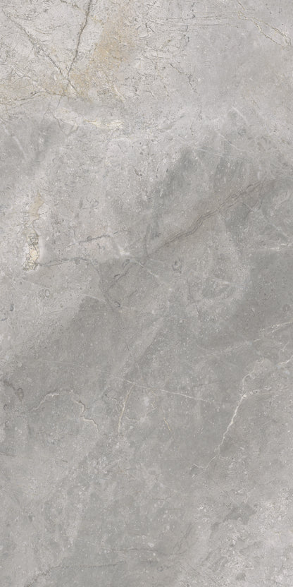 Masterstone Silver 60x120 rect - WDtegels