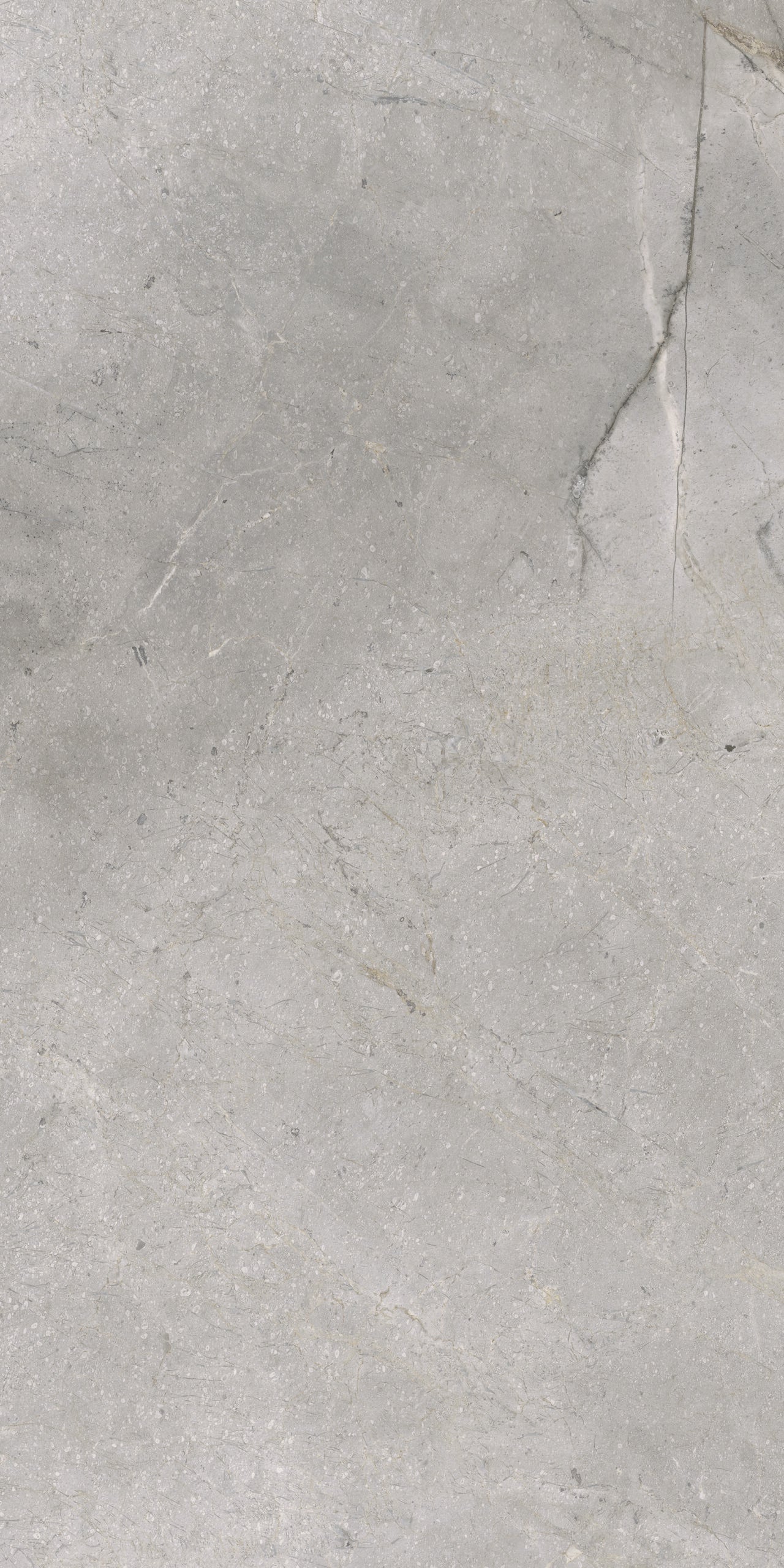 Masterstone Silver 60x120 rect - WDtegels