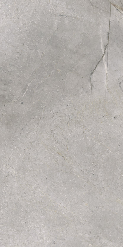 Masterstone Silver 60x120 rect - WDtegels