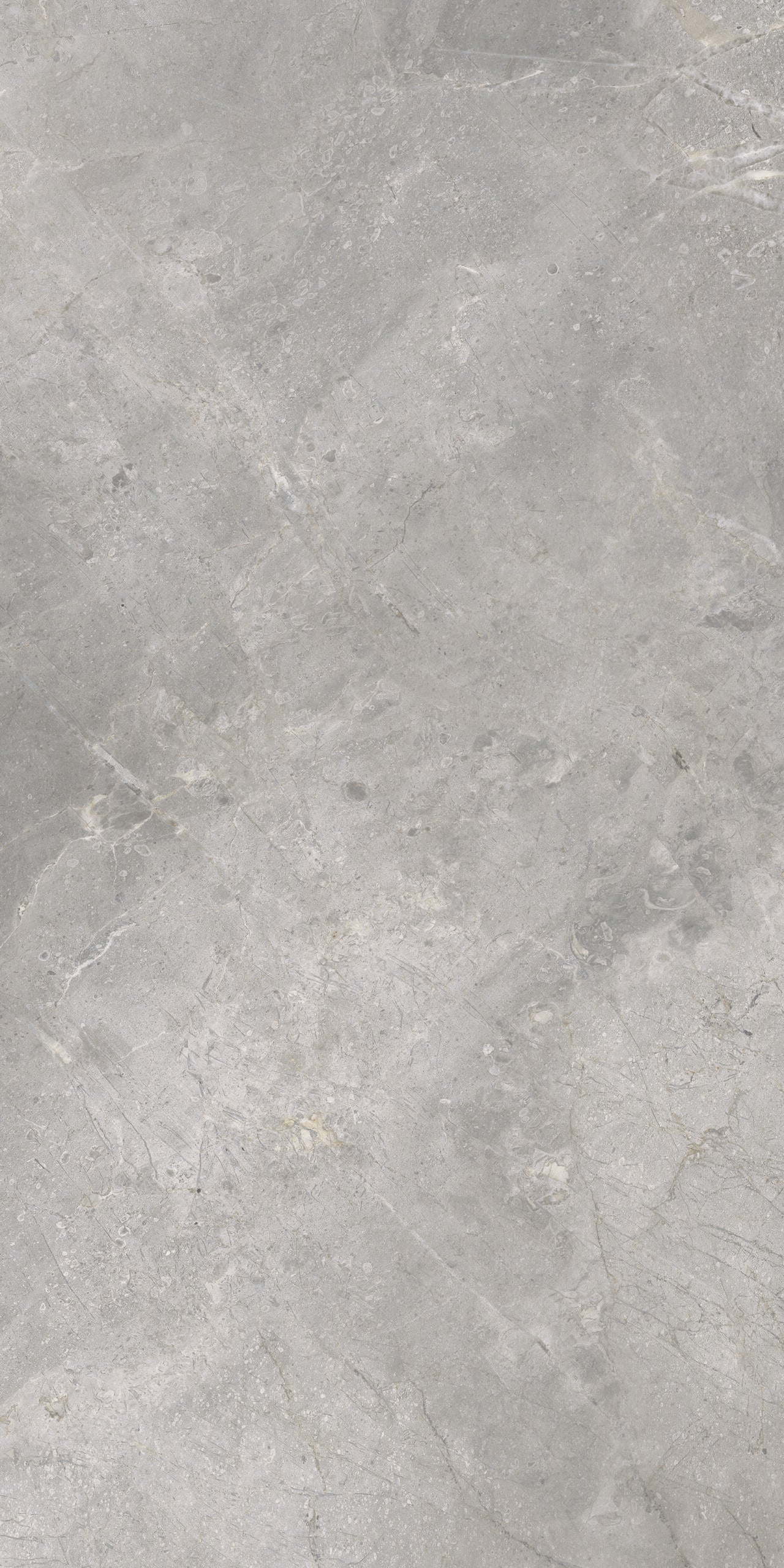 Masterstone Silver 60x120 rect - WDtegels