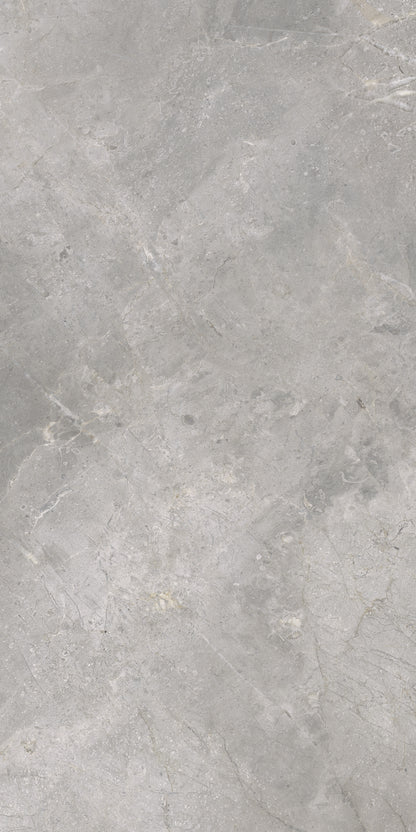 Masterstone Silver 60x120 rect - WDtegels
