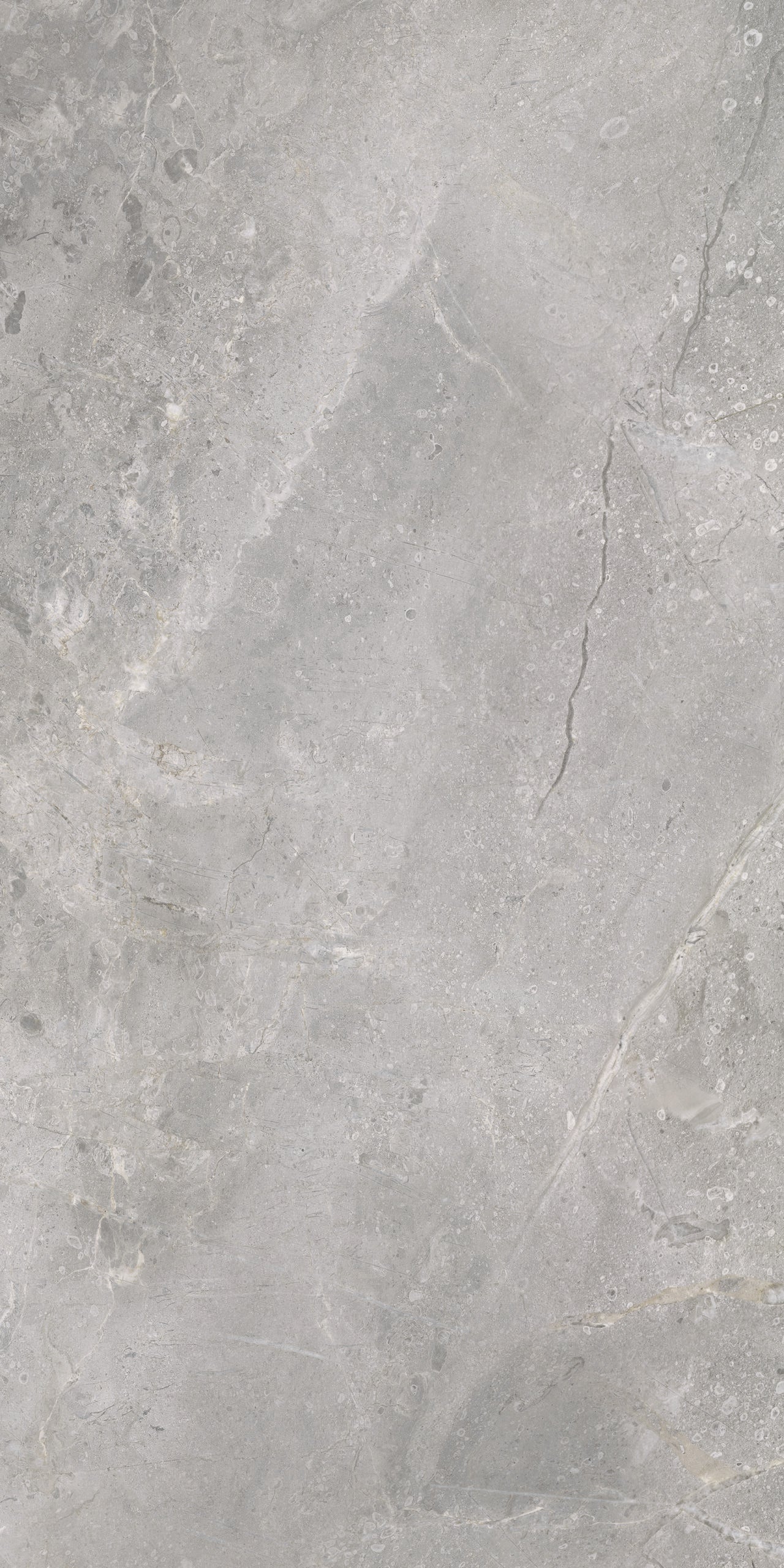 Masterstone Silver 60x120 rect - WDtegels