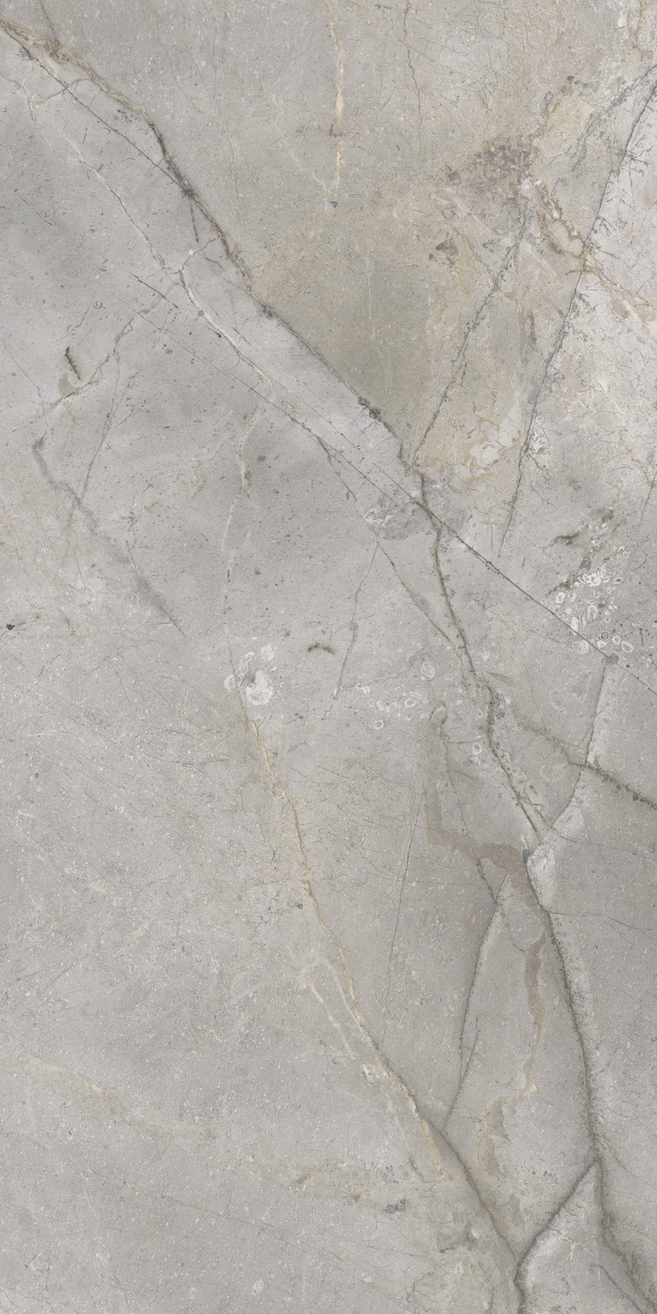 Masterstone Silver 60x120 rect - WDtegels