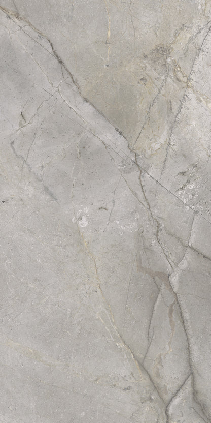 Masterstone Silver 60x120 rect - WDtegels