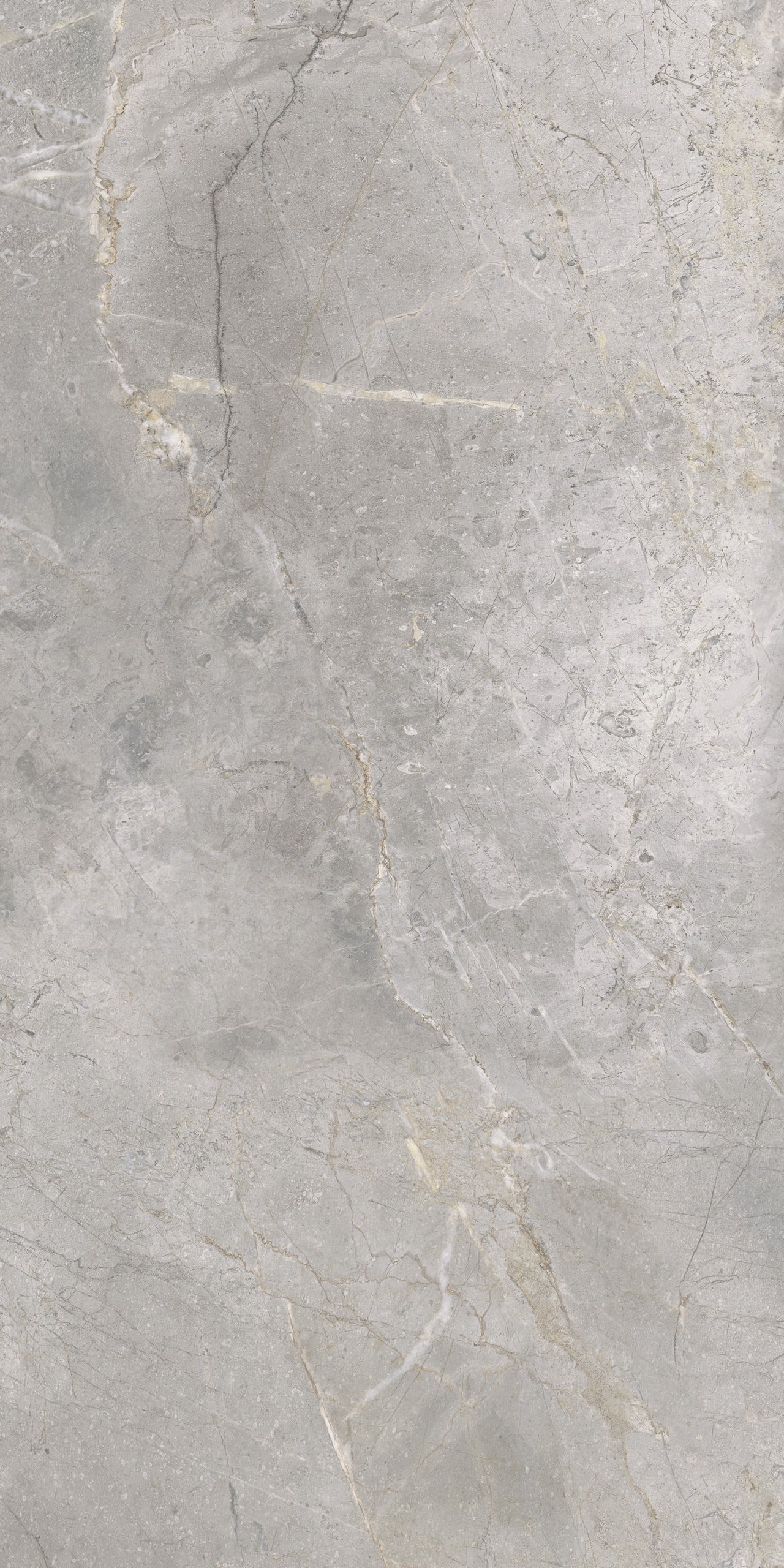 Masterstone Silver 60x120 rect - WDtegels