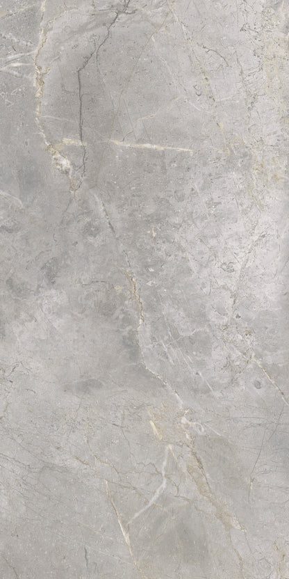 Masterstone Silver 60x120 rect - WDtegels