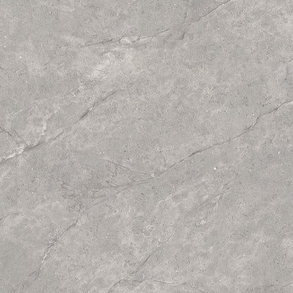 Vloer- en wandtegel Adia Grey 120x120 rett