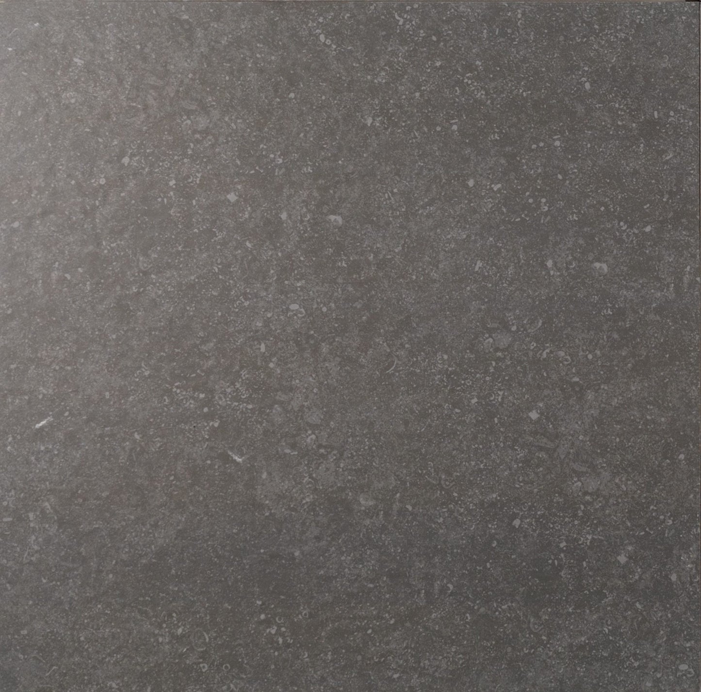 Buiten Tegel Belgio Blue Mat 60x60x2 rect