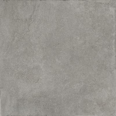 Vloer- en wandtegel Chateaux 1 Greige 100x100 rett