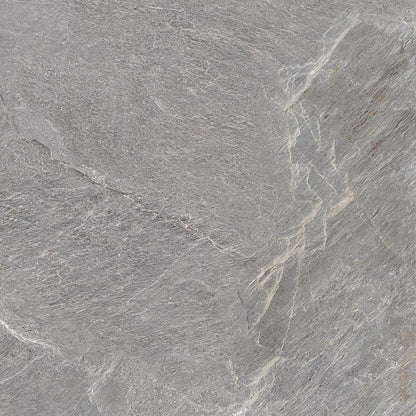 Vloer- en wandtegel Genis Ash 60x60 rett