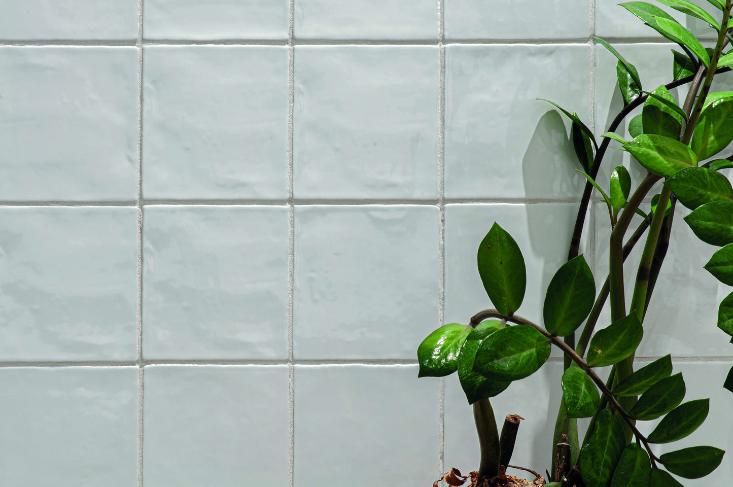 Oud Hollandse witjes Wit 13x13