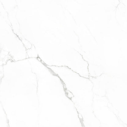 Statuario glans 60x60 rett - WDtegels