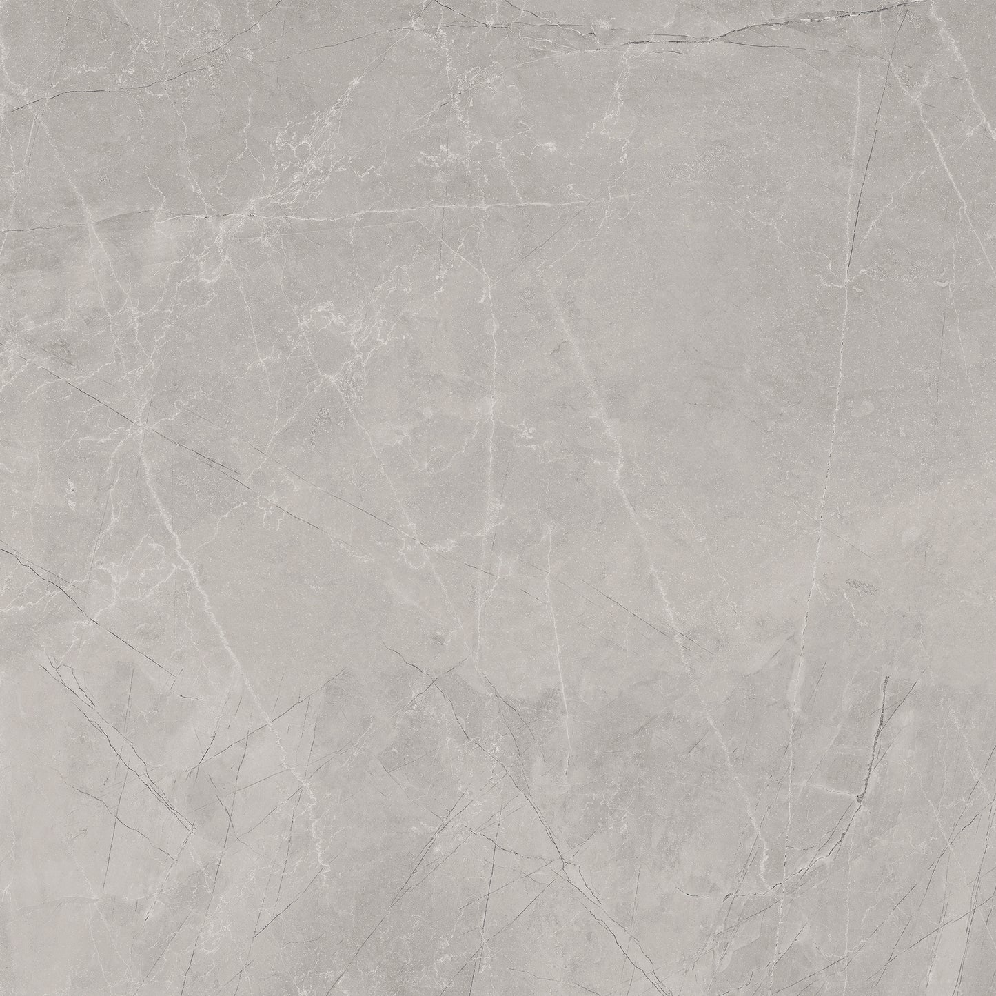Vloertegel Bayona Silver Mat 120x120 rett - WDtegels