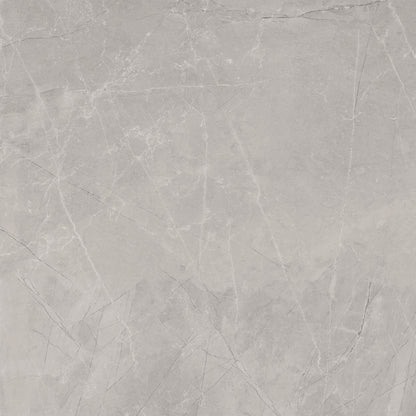 Vloertegel Bayona Silver Mat 120x120 rett - WDtegels