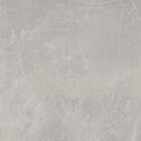 Vloertegel Bayona Silver Mat 120x120 rett