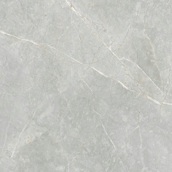 Floor tile Syrah Light matte 60x60 rectified