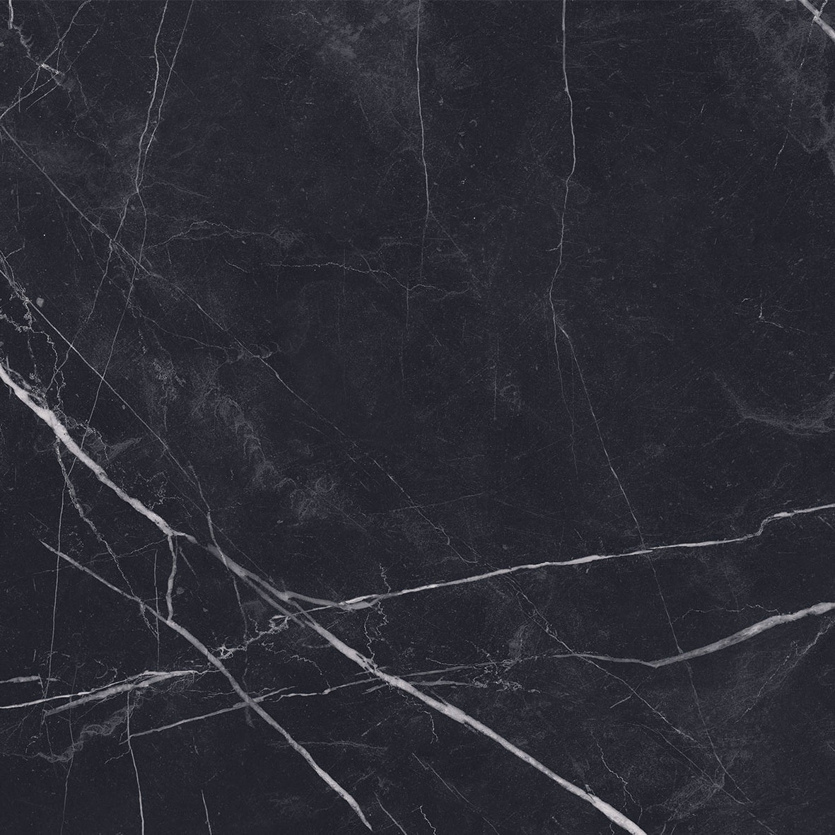 Vloertegel Marquina Black pulido 60x60 rett - WDtegels