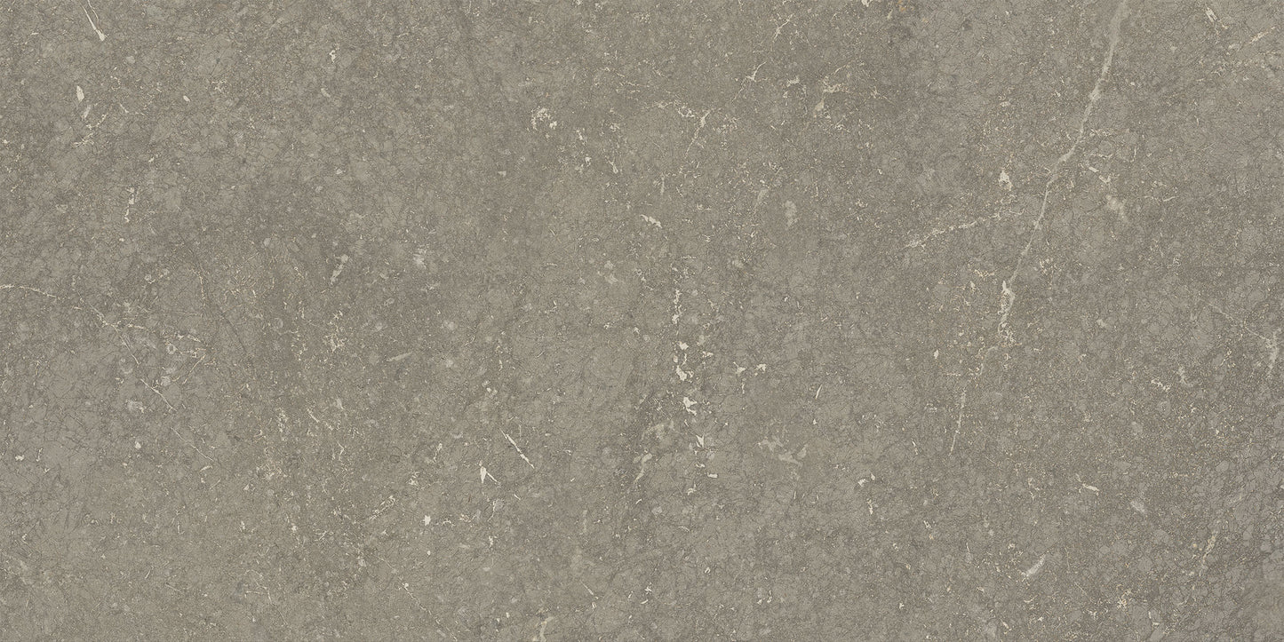 Munich Taupe wandtegel 25x50 - WDtegels