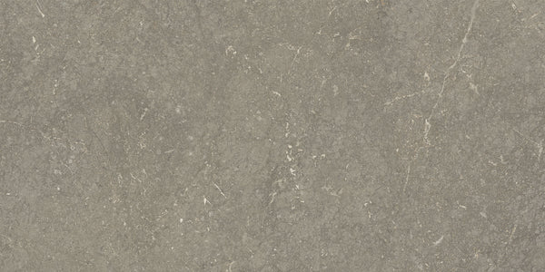 Munich Taupe wandtegel 25x50
