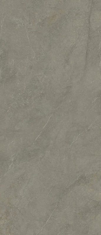Slab Munich Taupe 120x280 rett - WDtegels