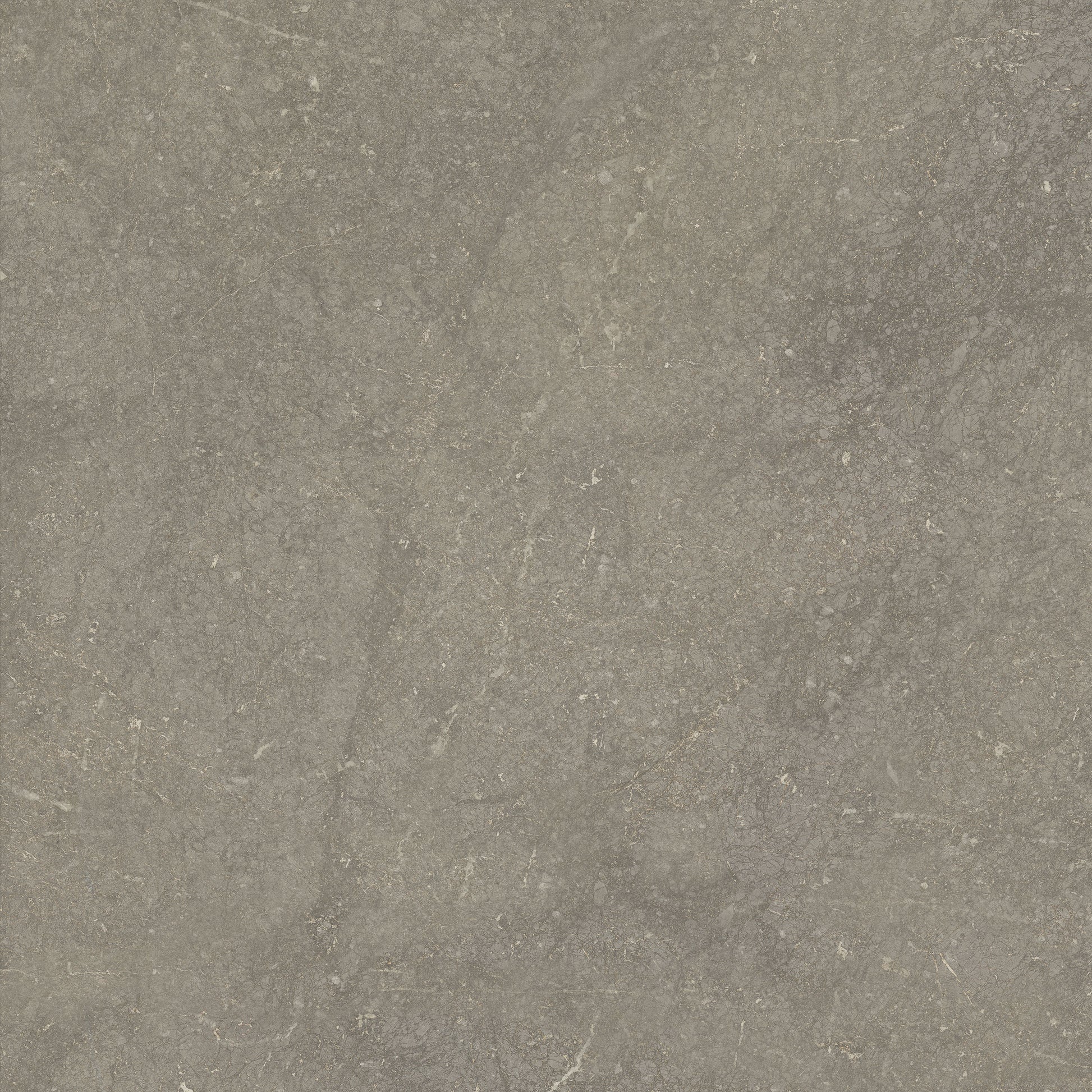 Vloertegel Munich Taupe 60x60 rett - WDtegels