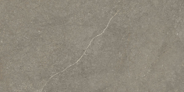 Munich Taupe wandtegel 30x60 rett