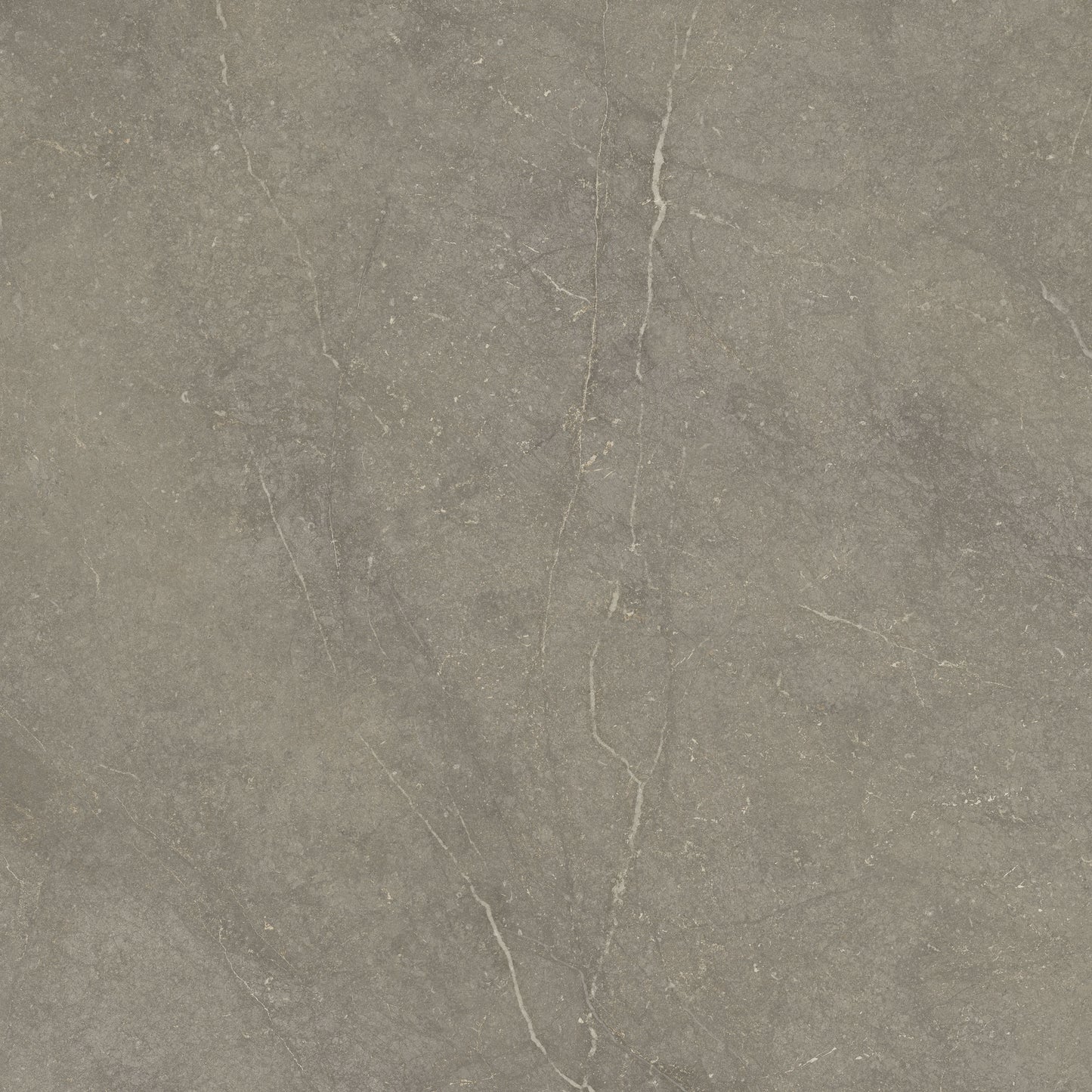 Vloertegel Munich Taupe 120x120 rett - WDtegels