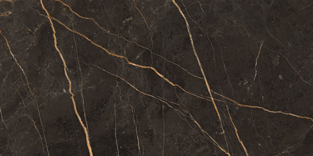 Saint Laurent polished 60x120 rett - WDtegels