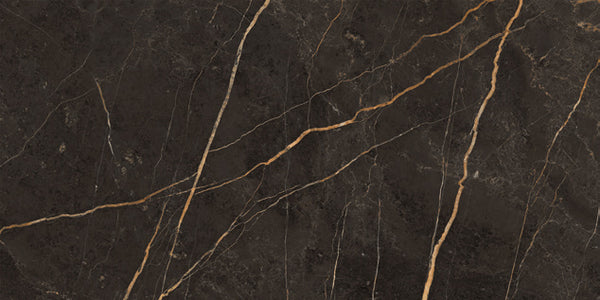 Vloertegel Saint Laurent polished 30x60 rett