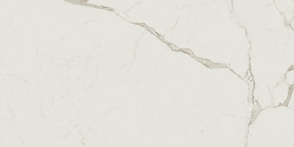 Vloertegel Exigo Calacatta mat 60x120 rett