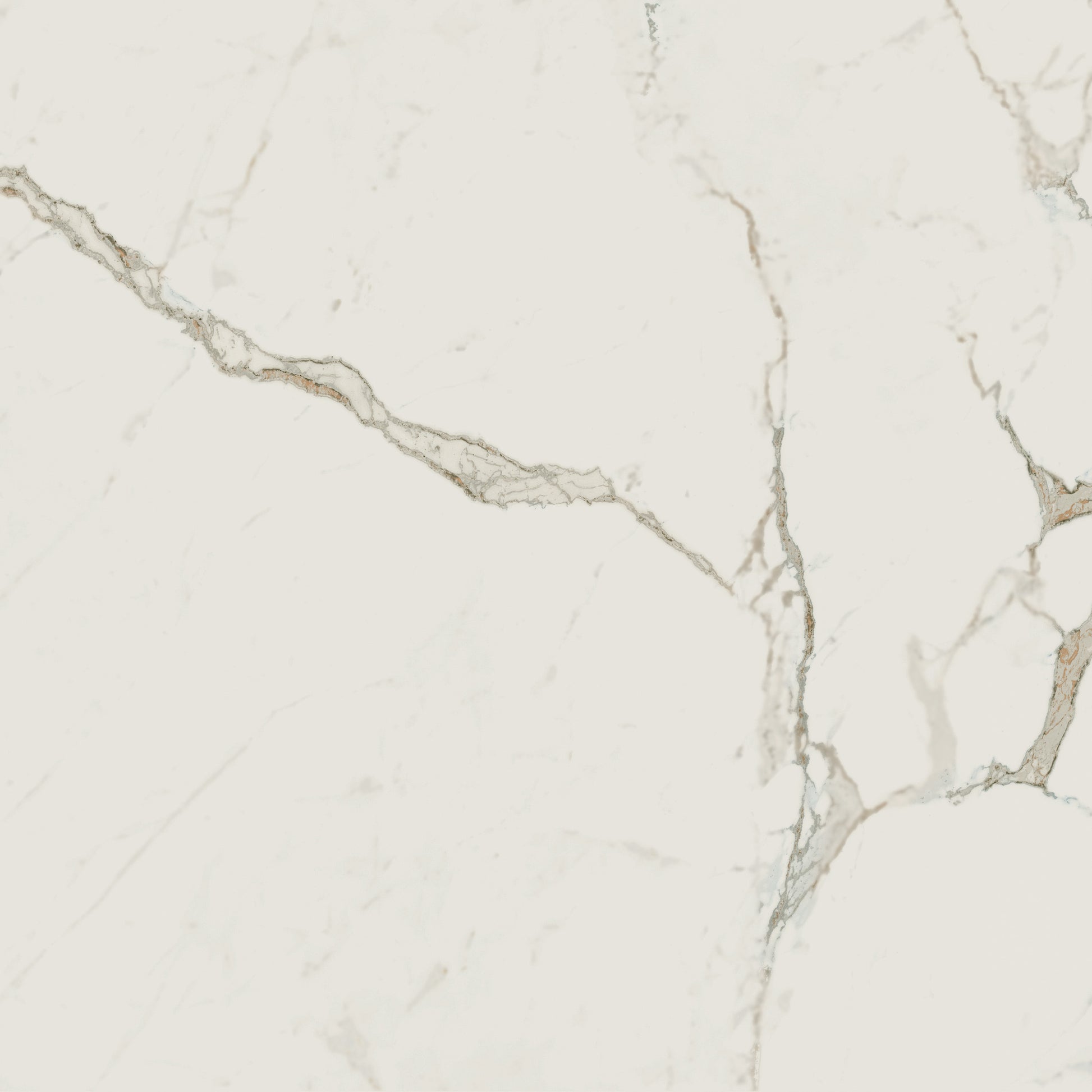 Vloertegel Exigo Calacatta gepolijst 60x60 rett - WDtegels